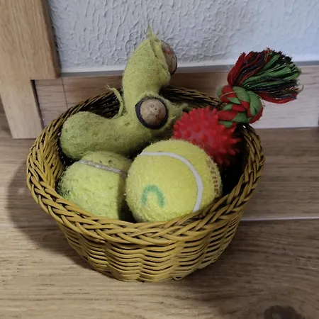 Apartamento Casa Filo